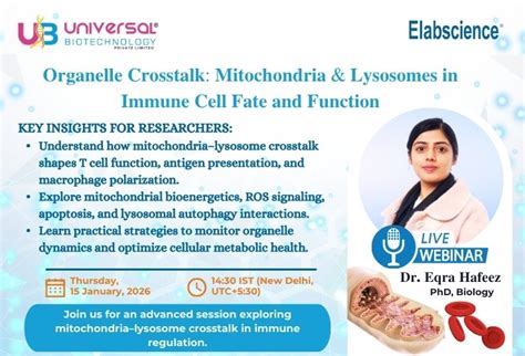 Organelle Crosstalk - Mitochondria & Lysosomes in Immune Cell Fate and ...