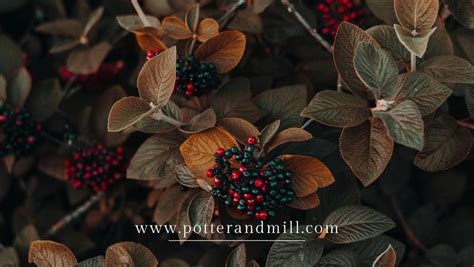 International Women’s Day Networking Event, 236 Norwich Avenue Unit #2 ...