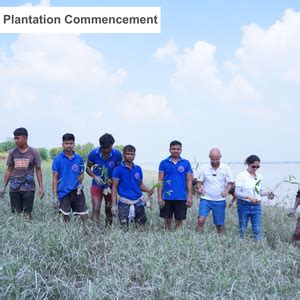 Nature’s Guardians: Mangroves for People, Planet, and Prosperity – Grow ...