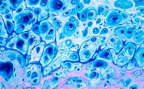 Image result for Normal Blue Desktop