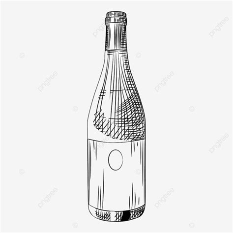 Hand Drawn Wine Vector PNG Images, Hand Drawn Wine Bottle, Sketching ...