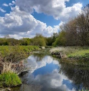 Top 20 things to do in Colchester (Updated Mar 2025)