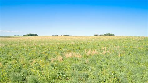 Kossuth County Land Values at Jackie Proctor blog