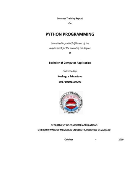 Python Reports 的图像结果