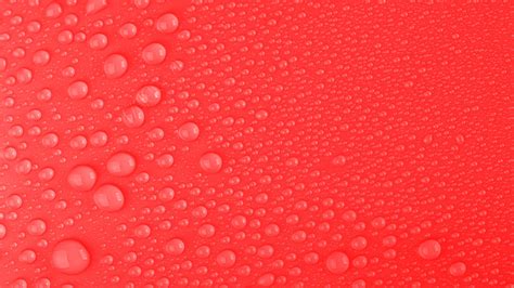Download wallpaper 3840x2160 water, drops, wet, macro, red 4k uhd 16:9 ...