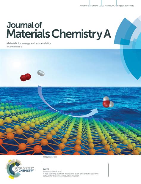 Profile | Dr. Biswarup Pathak