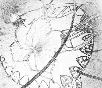 Gigantism in Sabarmati river, Ahmedabad | CEPT - Portfolio