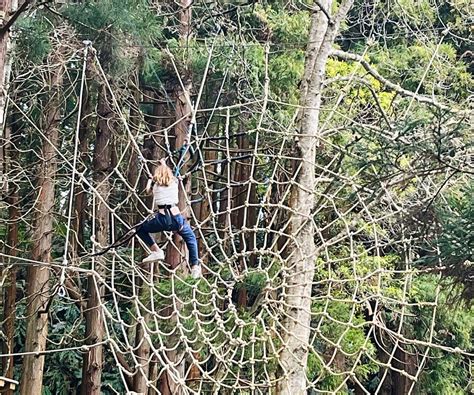 AZORES TREETOP PARK (2026) All You Need to Know BEFORE You Go (with ...