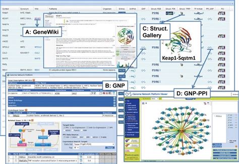 Image result for Tabular Document Example