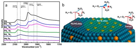 Boosting the Characterization of Heterogeneous Catalysts for H2O2 ...