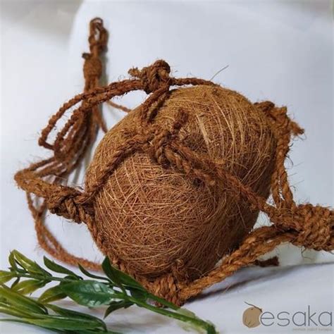 Jual kokedama pot gantung sekaligus media tanam sabut kelapa - Kab ...