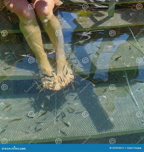 Man`s Feet In Fish Spa Aquarium. Doctor Fish In Glass Fishtank. South Asia Pedicure Procedure ...