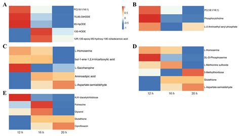 Photoperiodic Effect on Growth, Photosynthesis, Mineral Elements, and ...