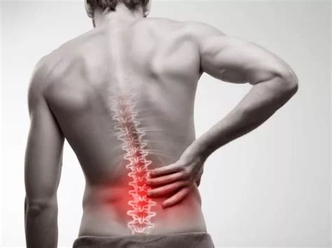 Research Programs | Institute for Neuroimmunology and Inflammation ...