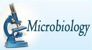 Students’ Achievements