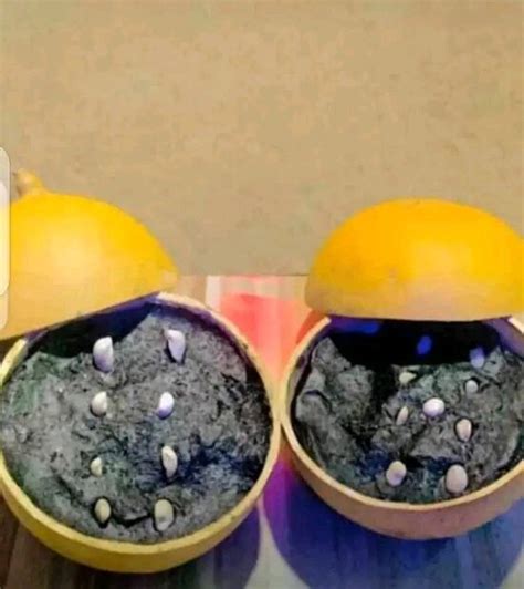 𝗧𝗛𝗘 𝟭𝟬 𝗕𝗘𝗦𝗧 Hotels in Ijebu-Ode of 2025 (with Prices)