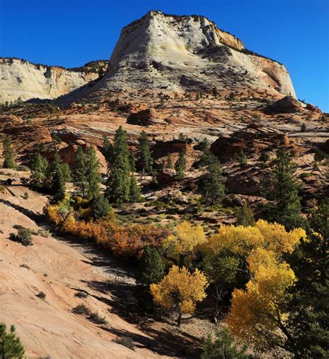 Zion National Park Fall Fun | Zion Ponderosa Ranch Resort