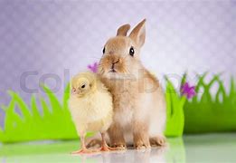 Image result for Bunny and Chick Vintage Art
