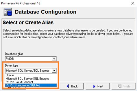 Image result for P6 Database