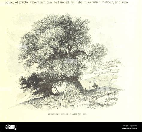 This book offers a collection of illustrations depicting scenes and ...