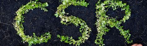 Premier Green Innovations Private Limited