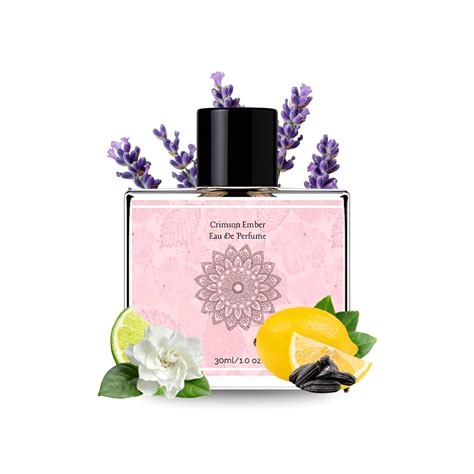 Intense Perfumes by Navora – Premium Long-Lasting EDP
