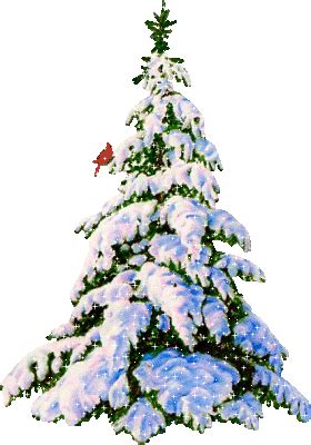 Grupa VI 6 LEŚNE DUSZKI | Przedszkole Publiczne Nr 1 w Łomży