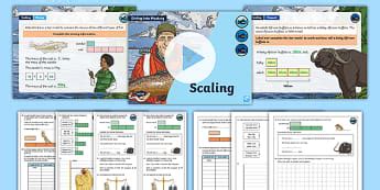 Year 3 White Rose Maths Resources: Multiplication & Division