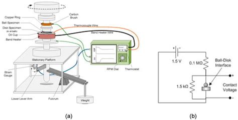 Dynamics of Tribofilm Formation in Boundary Lubrication Investigated ...