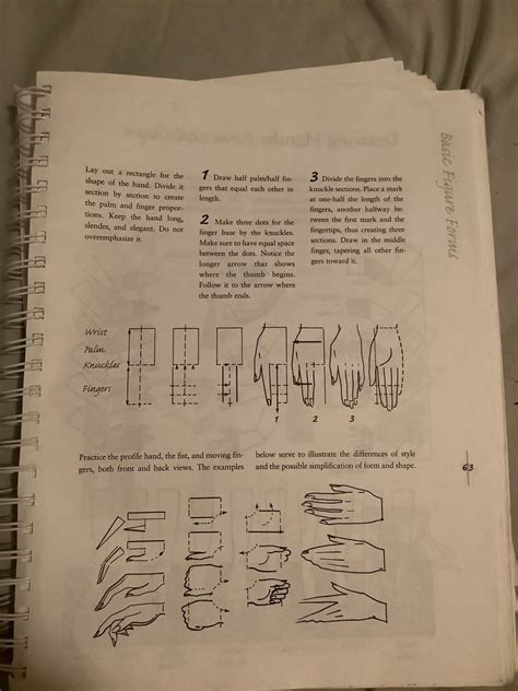 Image result for Body Guide Box Drawing
