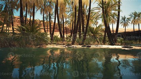 Green oasis with pond in Sahara desert 5655000 Stock Photo at Vecteezy