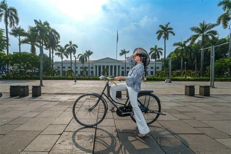 City Cycling 的图像结果