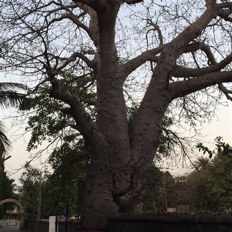 GLOBE HOTEL UDVADA - B&B Reviews & Photos - Tripadvisor