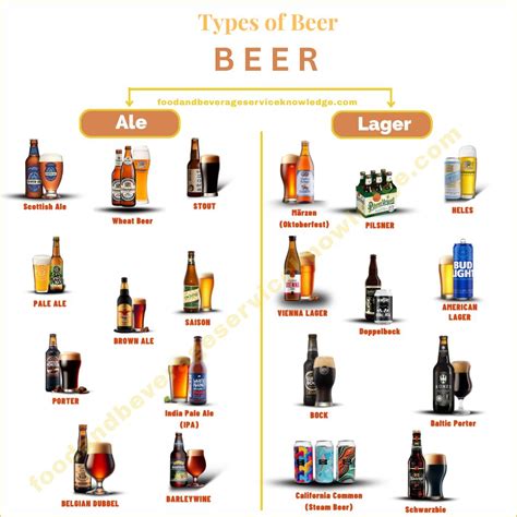 📊 Understanding Beer Styles – A Must-Know for Beverage Professionals ...