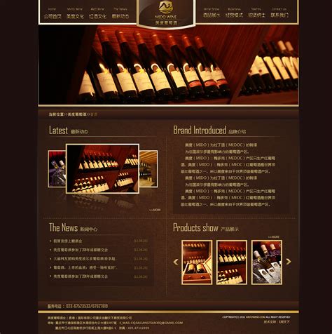 红酒网站|UI|图标|AresWen - 原创作品 - 站酷 (ZCOOL)