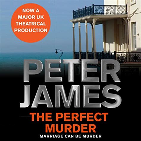 The Perfect Murder (Audio Download): Peter James, Paul Panting ...
