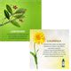 Bakson Sunny Arnica Montana Hair Oil with JAC | Herbal Hair Growth ...