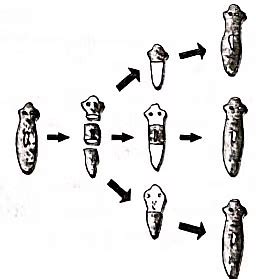 Class 10 Science Chapter 7 Previous Year Questions - How do Organisms ...