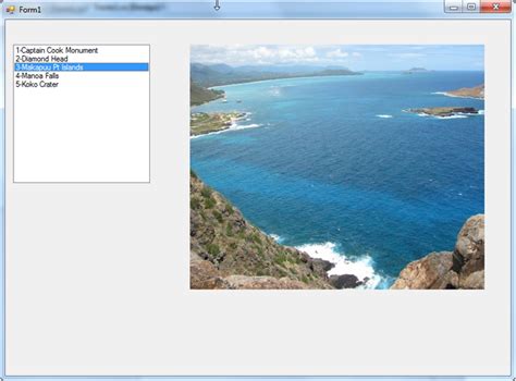 Image Data Type Name in SQL 的图像结果