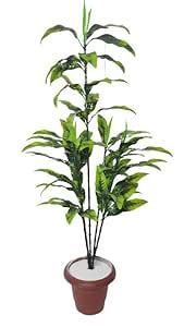 Artificial Mango Plant Without Pot for Decor Home, Office, Garden ...