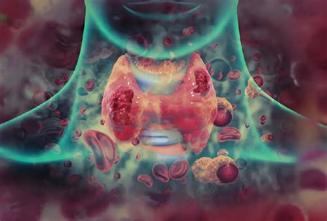 Image result for File ENT