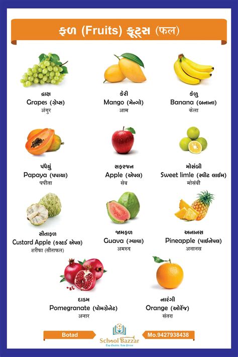 Fruit Chart With lamination (50 x 70 cm) Wall Chart