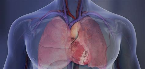 Men’s sexual health can predict heart issues | CNN