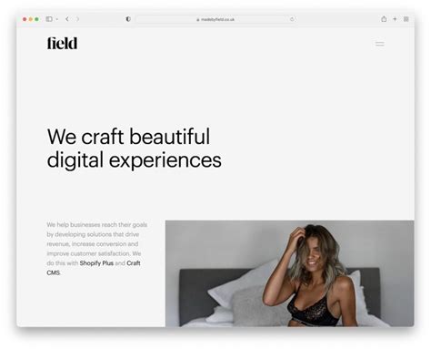 Image result for Website Screen Examples