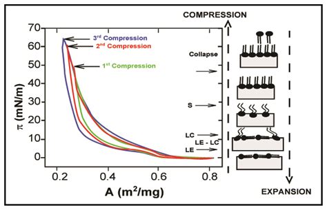 Phospholipids at the Interface: Current Trends and Challenges