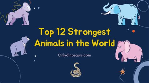 The Most Strongest Animal In The World