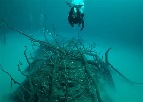 MANDALA DIVERS AND TOURS (2026) All You Need to Know BEFORE You Go ...