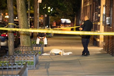 Art critic Charlie Finch identified as NYC suicide