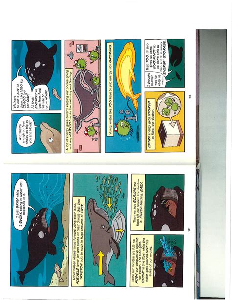 Final Exam Study Guide for Course XYZ 101: Understanding Whales and Ecosystems - Studocu