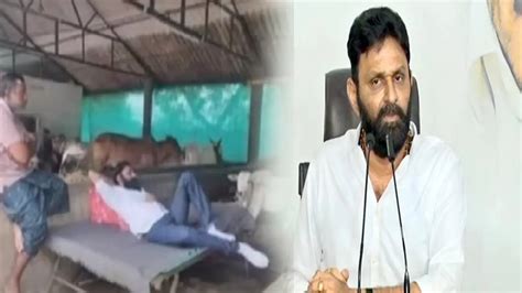 Kodali Nani : పశువుల కొట్టంలో పడుకున్న మాజీ మంత్రి కొడాలి నాని | Former ...